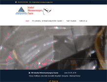 Tablet Screenshot of istanbul-microneurosurgery.com